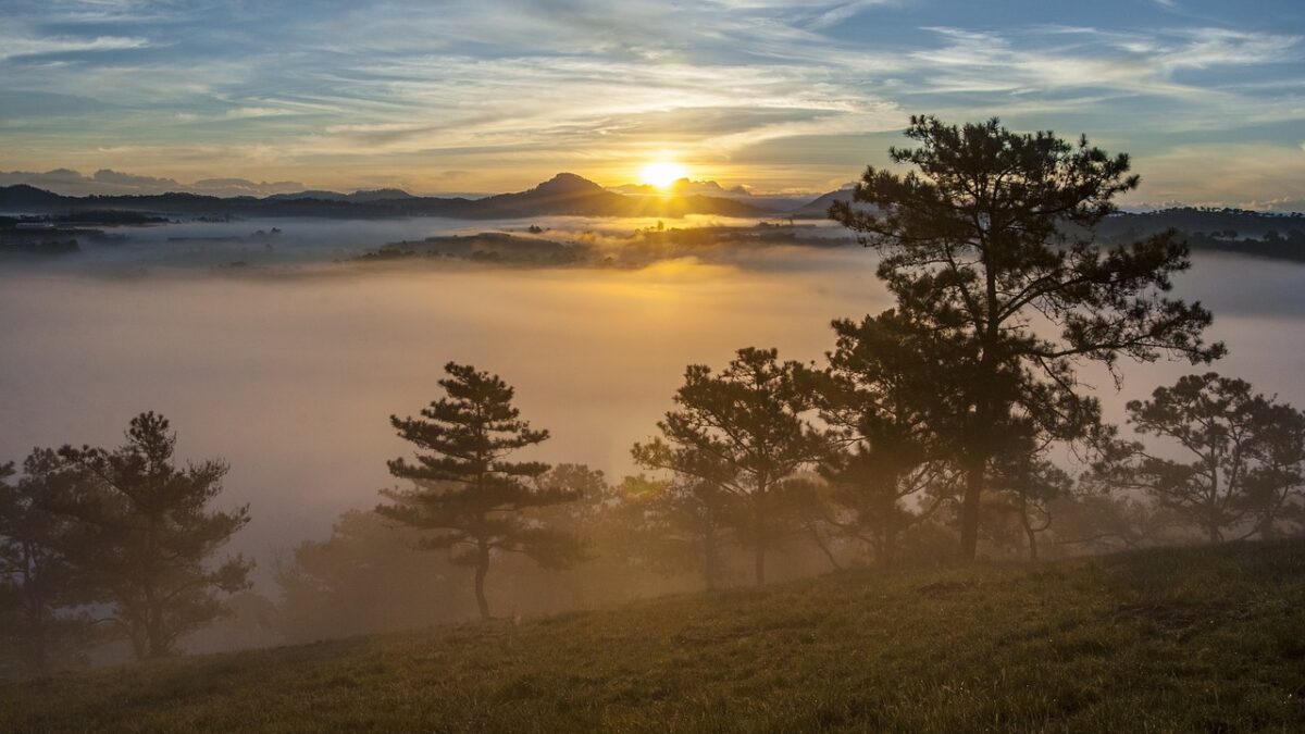 義理の姉の足まで回復した！