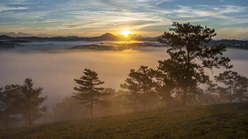 義理の姉の足まで回復した！