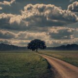 誰とでも分け隔てなく付き合えるようになった